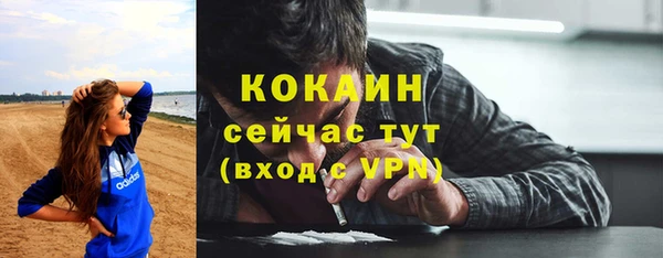 прущие грибы Каменка