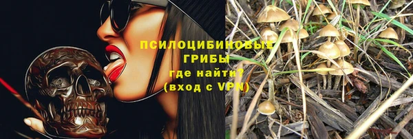 Альфа ПВП Каменногорск