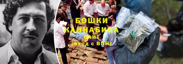 прущие грибы Каменка