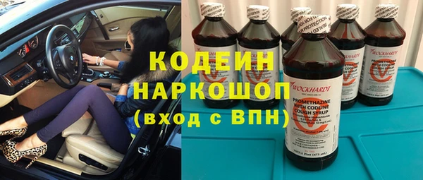 прущие грибы Каменка