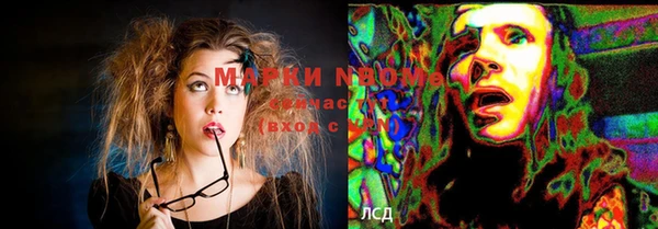 прущие грибы Каменка