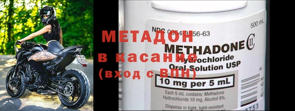 прущие грибы Каменка