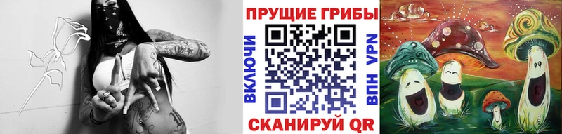 Псилоцибиновые грибы MAGIC MUSHROOMS  Купить где  Пудож 